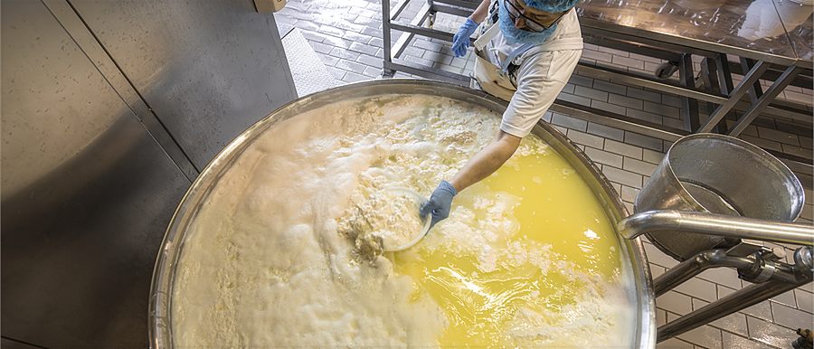 I fiocchi di ricotta vengono raccolti dal siero caldo