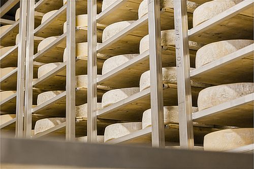 La cella di stagionatura